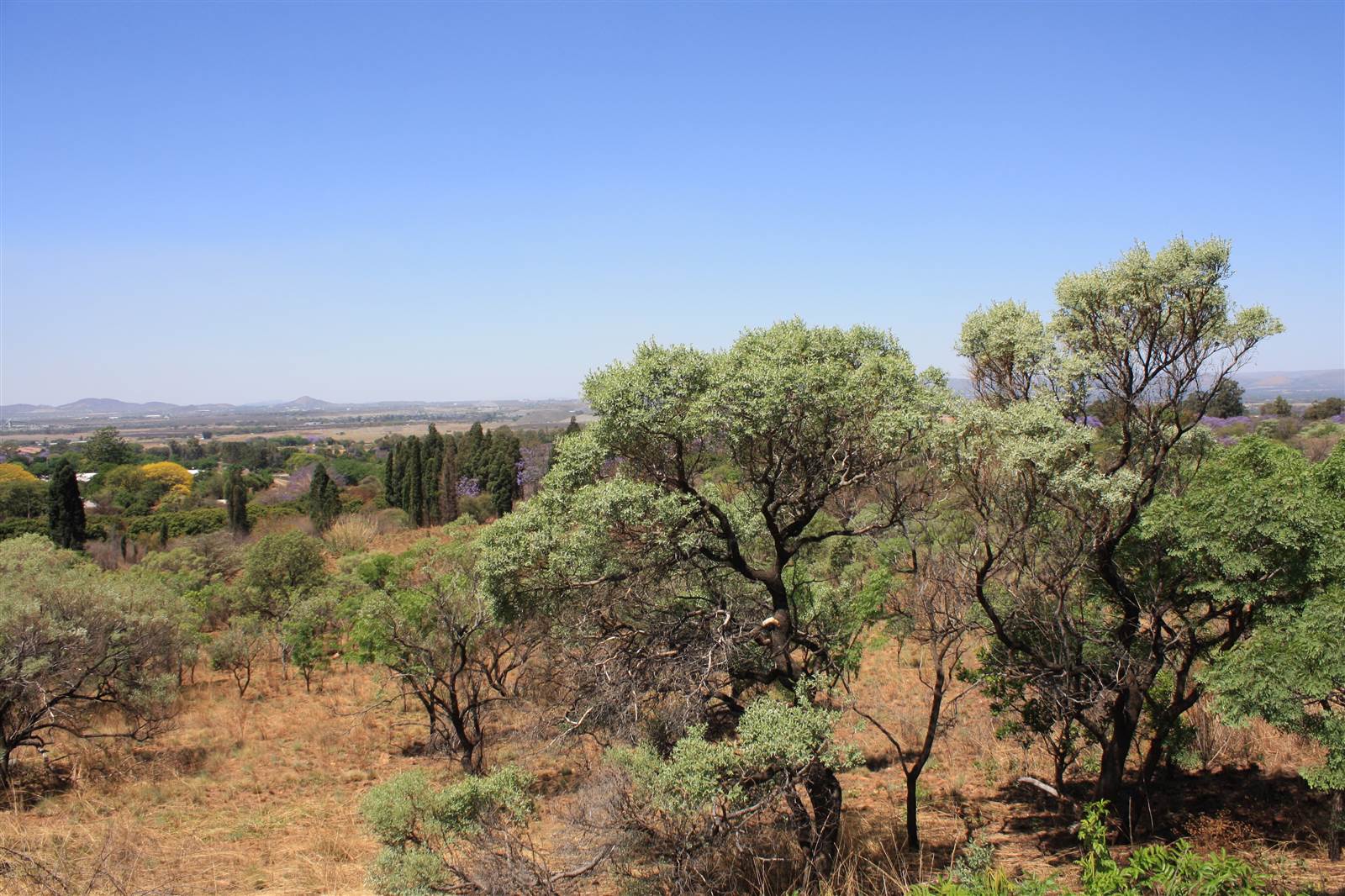 16.2 ha Land available in Waterkloof East photo number 15