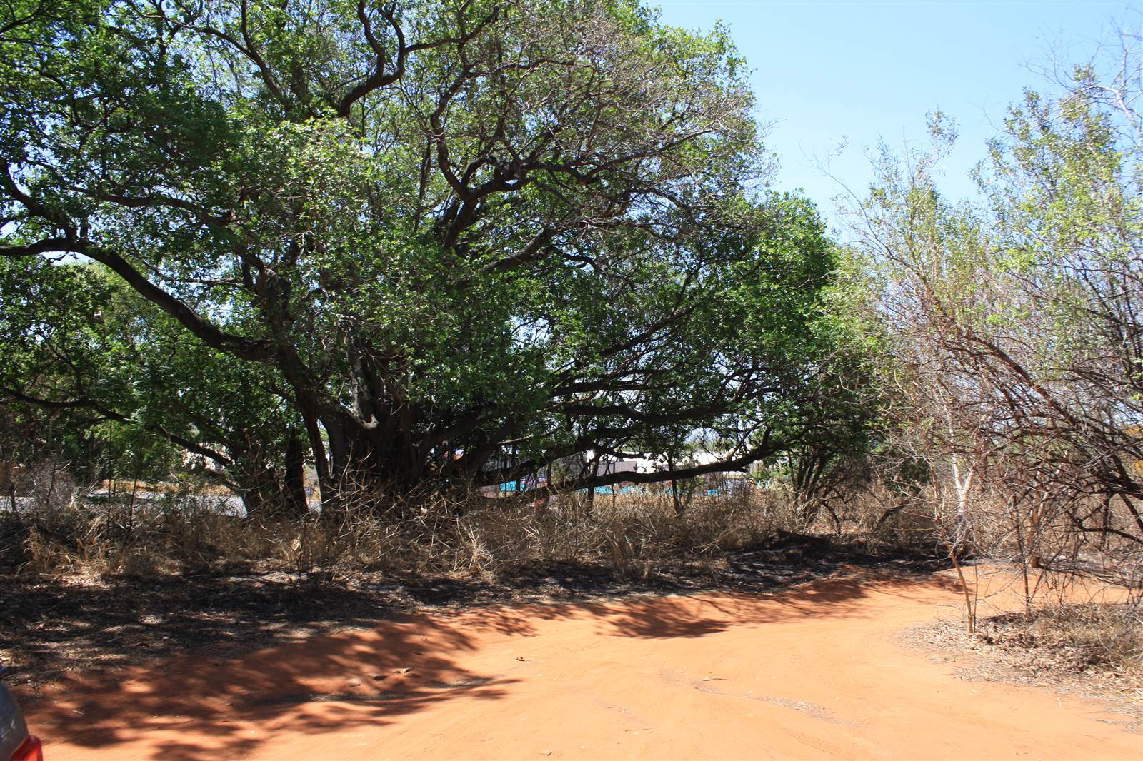 16.2 ha Land available in Waterkloof East photo number 12