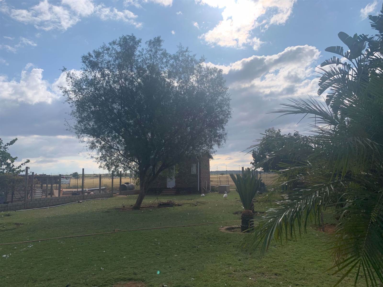 8.6 ha Smallholding in Polokwane Central photo number 9