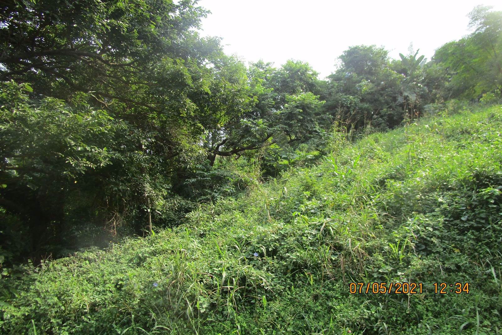 1034 m² Land available in Pennington photo number 1