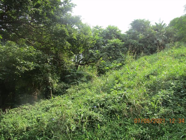 1034 m² Land available in Pennington