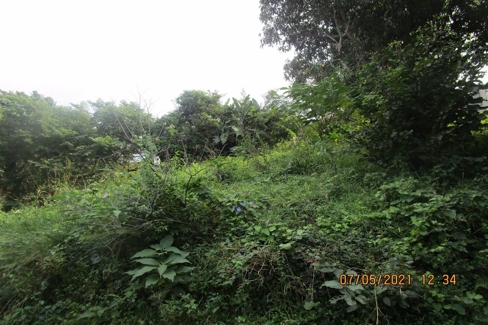 1034 m² Land available in Pennington photo number 2