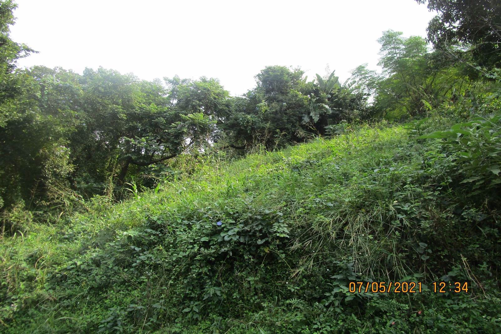 1034 m² Land available in Pennington photo number 8
