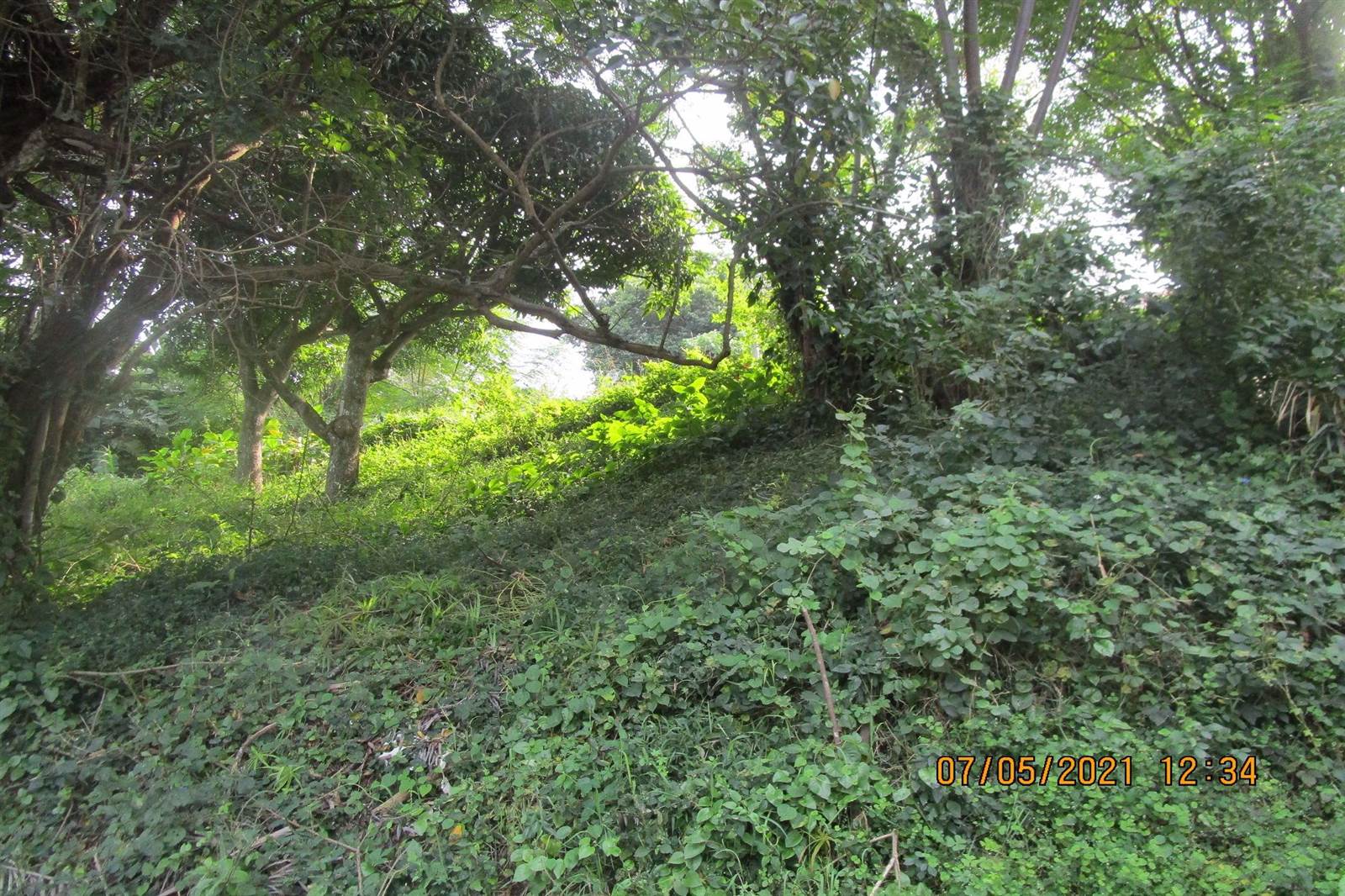 1034 m² Land available in Pennington photo number 9