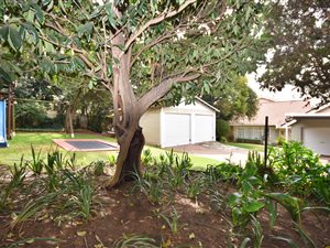 4 Bed House in Victory Park