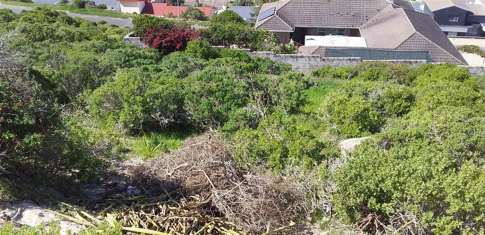 999 m² Land available in Saldanha photo number 5