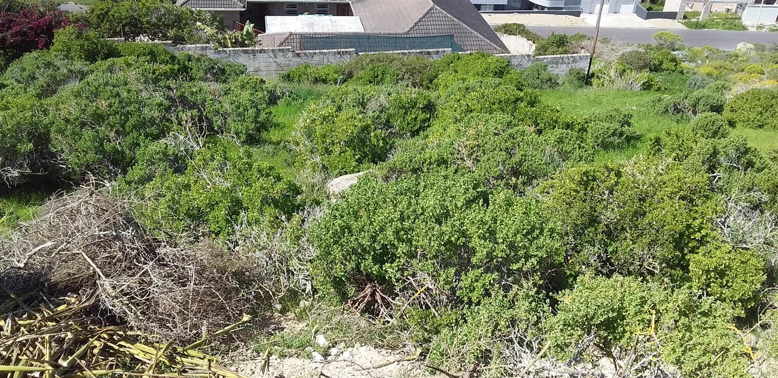 999 m² Land available in Saldanha photo number 6