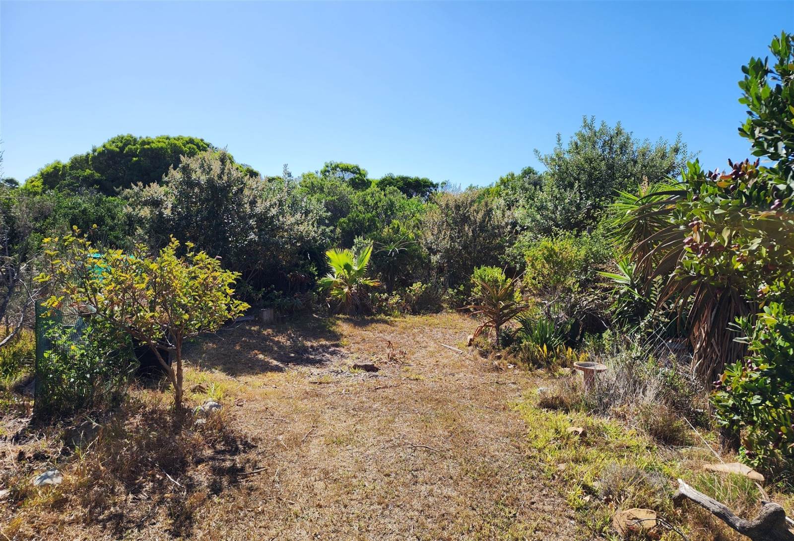 947 m² Land available in Paradise Beach photo number 6