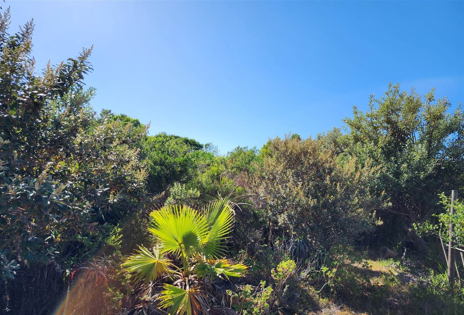 947 m² Land available in Paradise Beach photo number 7