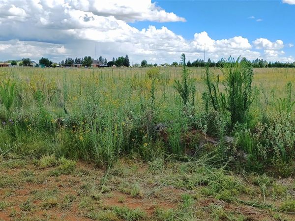 8.3 ha Land available in Bloemfontein Farms