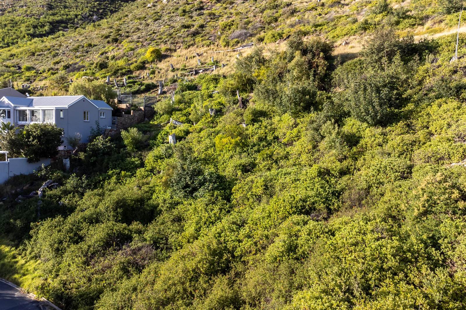 725 m² Land available in Simons Town photo number 8