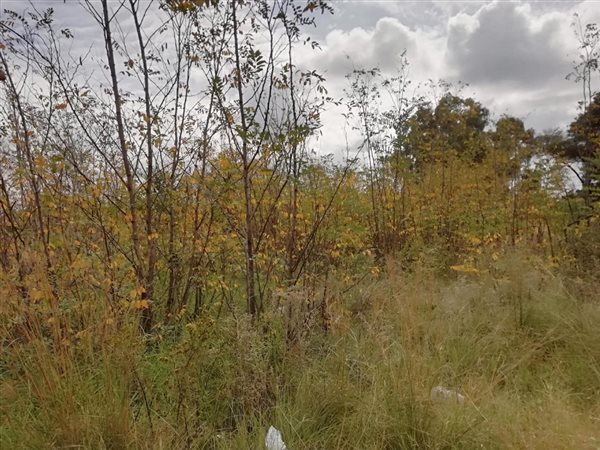 2578 m² Land available in New State Area