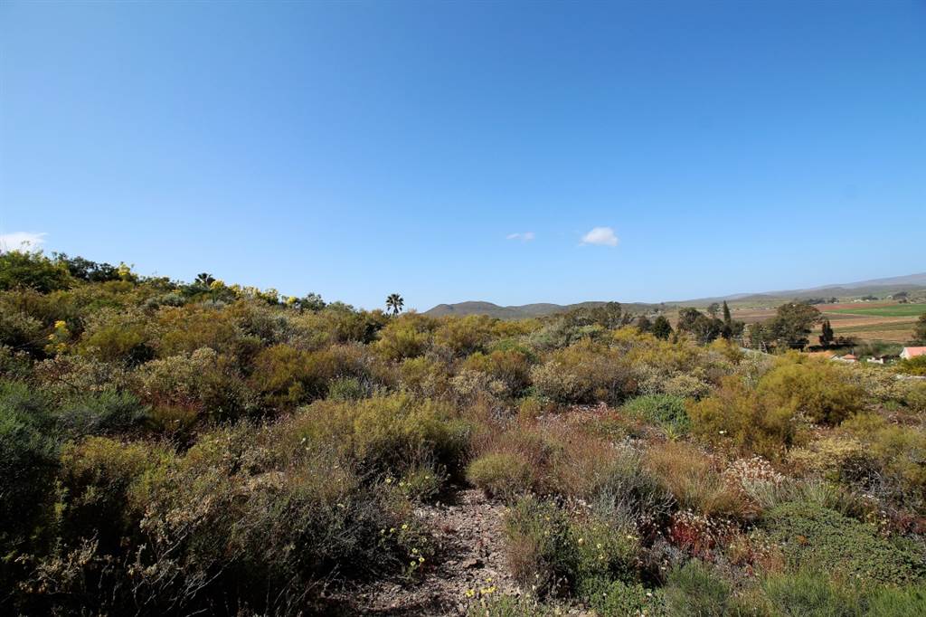 2841 m² Land available in Bonnievale photo number 5