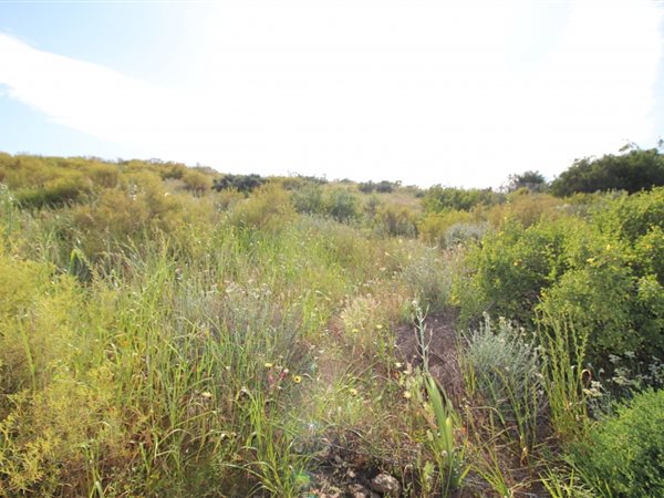 2841 m² Land available in Bonnievale