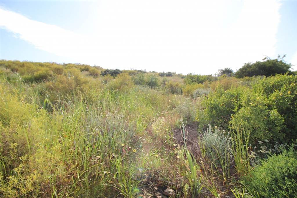 2841 m² Land available in Bonnievale photo number 1