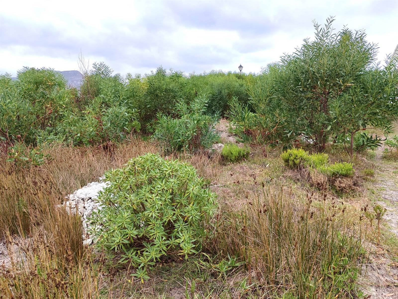 878 m² Land available in Franskraal photo number 5