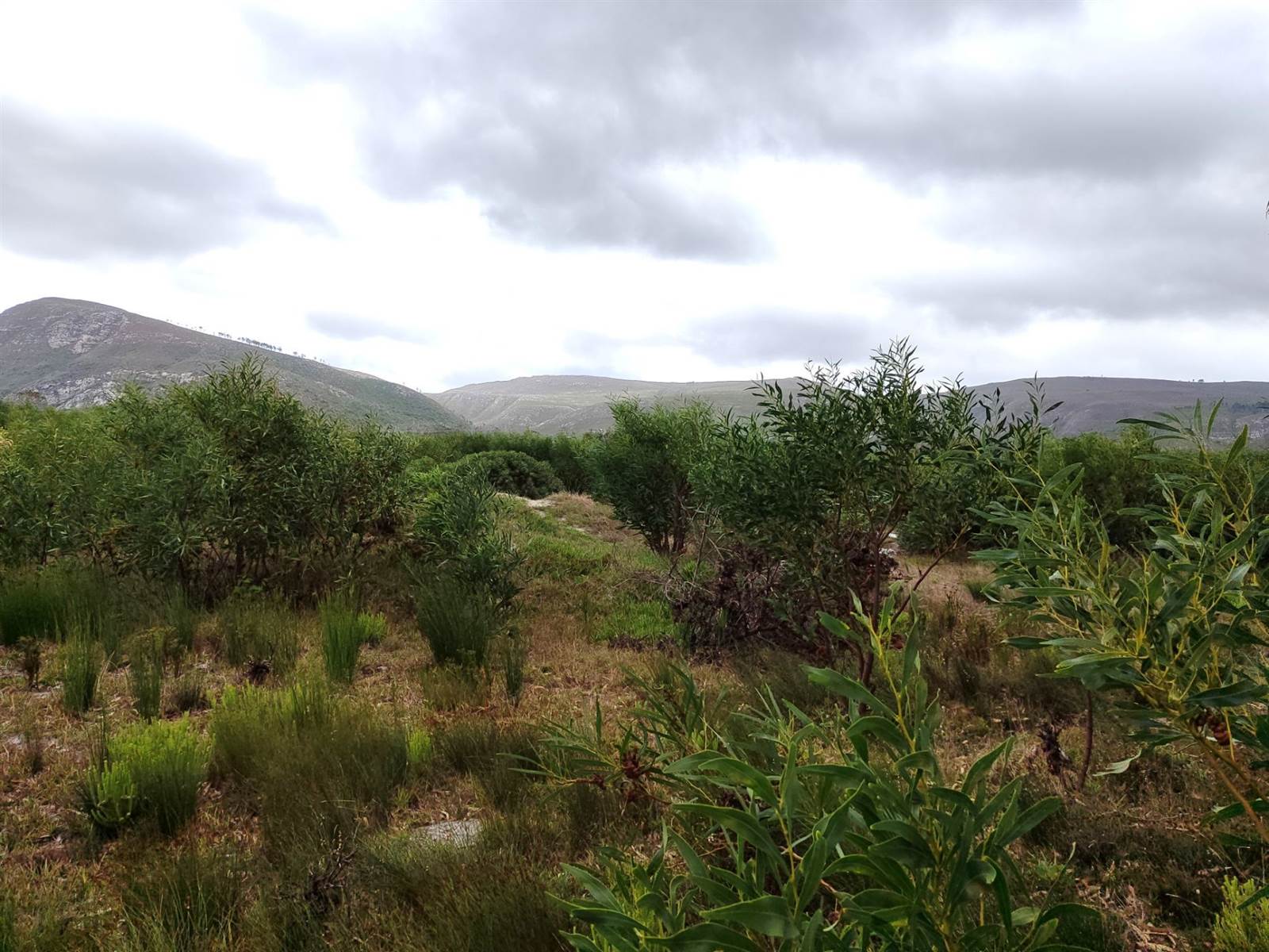 878 m² Land available in Franskraal photo number 6