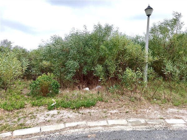 878 m² Land available in Franskraal