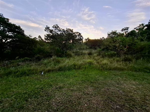 2 159 m² Land 2 159 m² Land