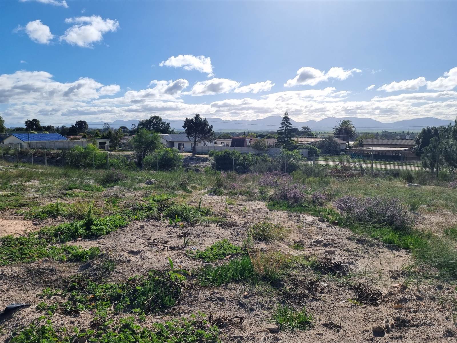 210 m² Land available in Albertinia photo number 4