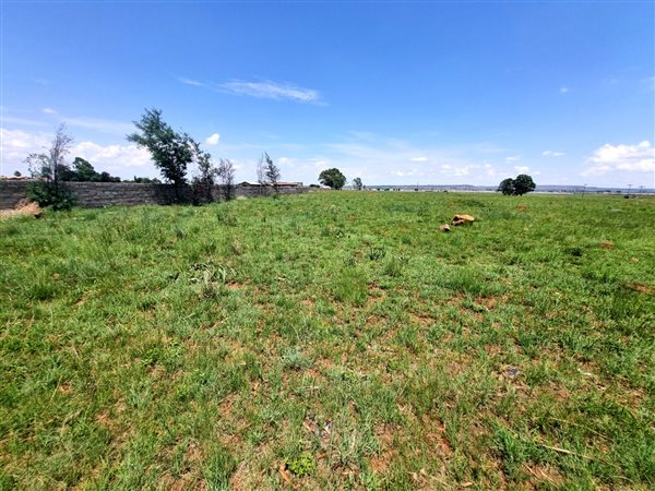 1 ha Land available in Homestead Apple Orchards
