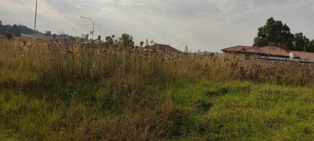 735 m² Land available in Krugersrus photo number 2