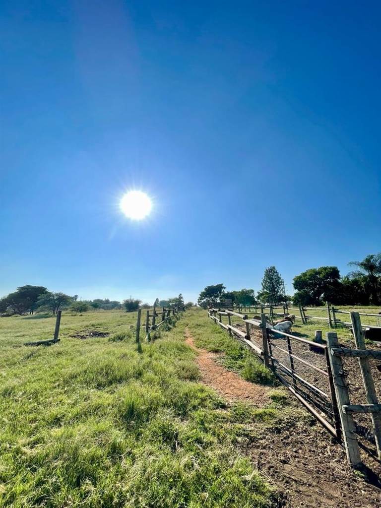 16 ha Farm in Pretoria North photo number 25