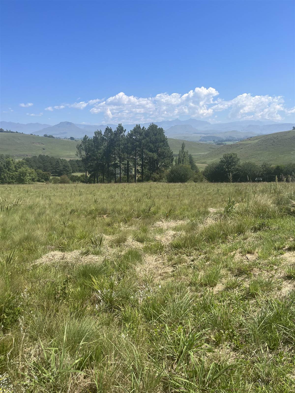 3060 m² Land available in Underberg photo number 14