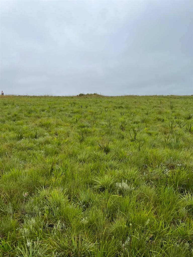 3060 m² Land available in Underberg photo number 6