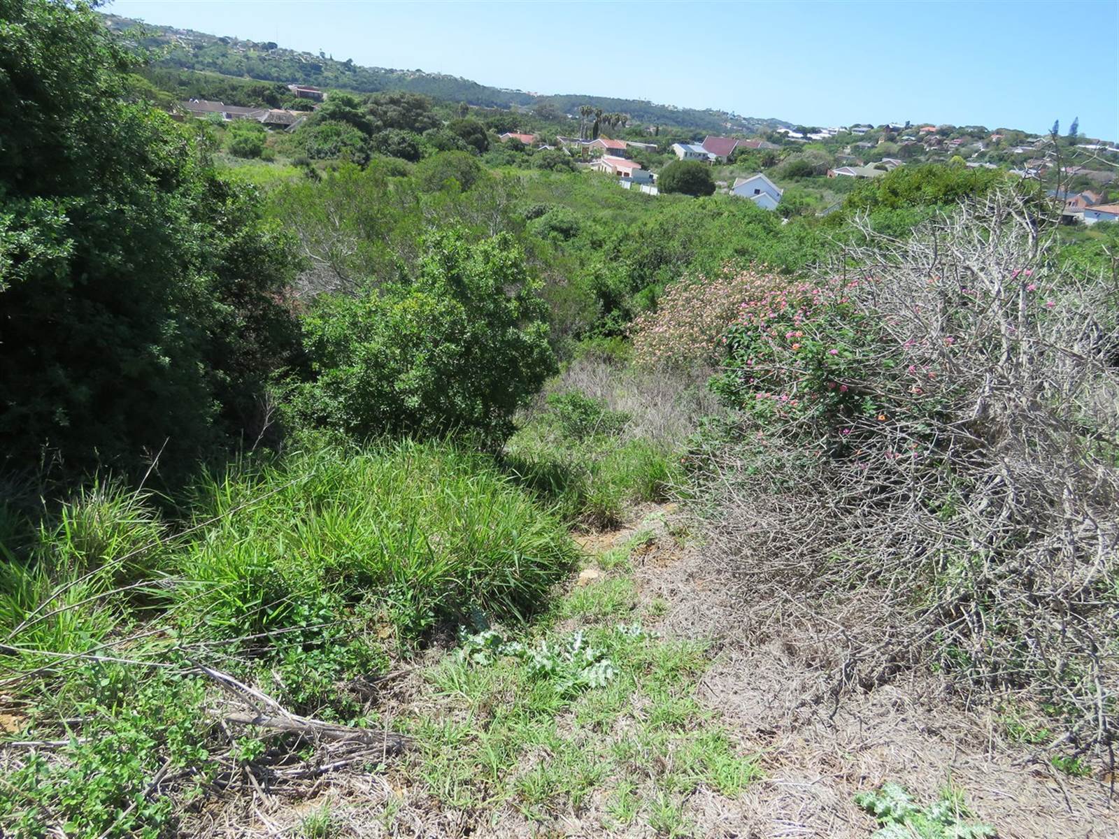 793 m² Land available in Port Alfred photo number 6
