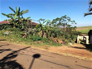 569 m² Land available in Belvedere