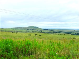 323.5 ha Farm in Estcourt