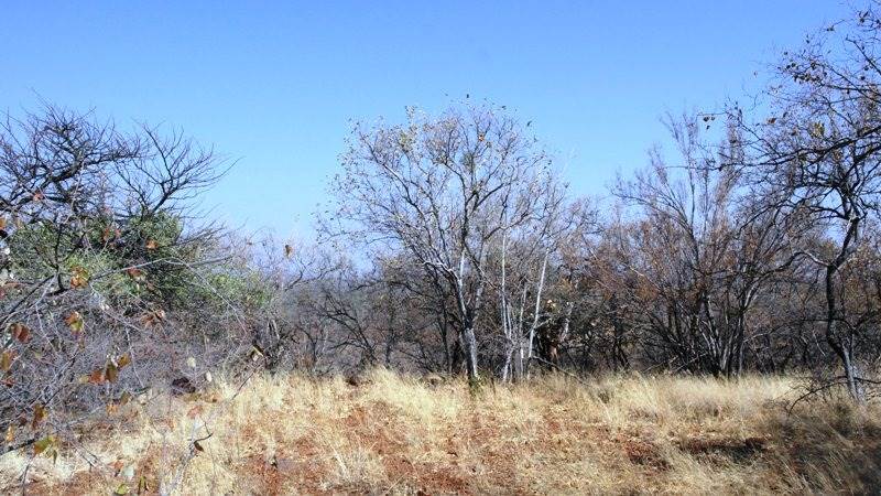 590 m² Land available in Bela-Bela (Warmbaths) photo number 1
