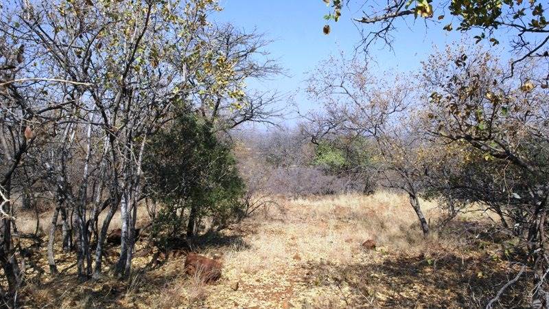 590 m² Land available in Bela-Bela (Warmbaths) photo number 2
