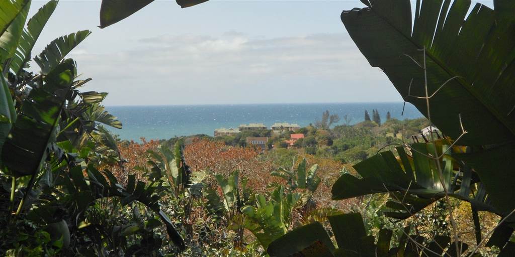 1506 m² Land available in Trafalgar photo number 3
