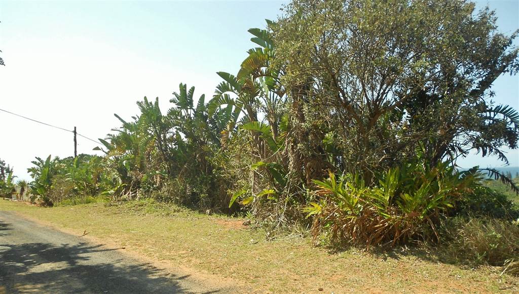 1506 m² Land available in Trafalgar photo number 11