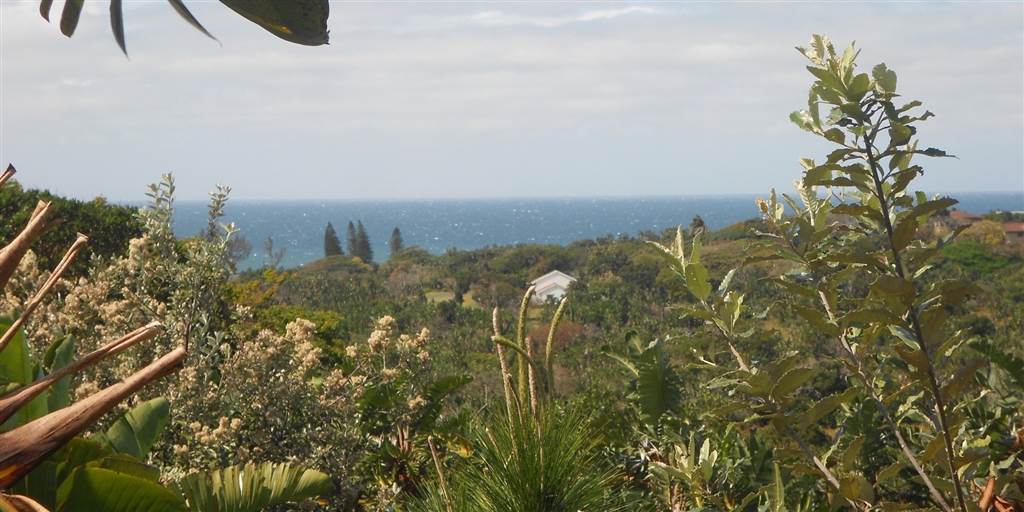 1506 m² Land available in Trafalgar photo number 1