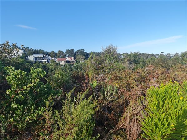 1018 m² Land available in Pezula Golf Estate