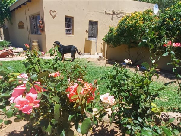 4 Bed House in Upington