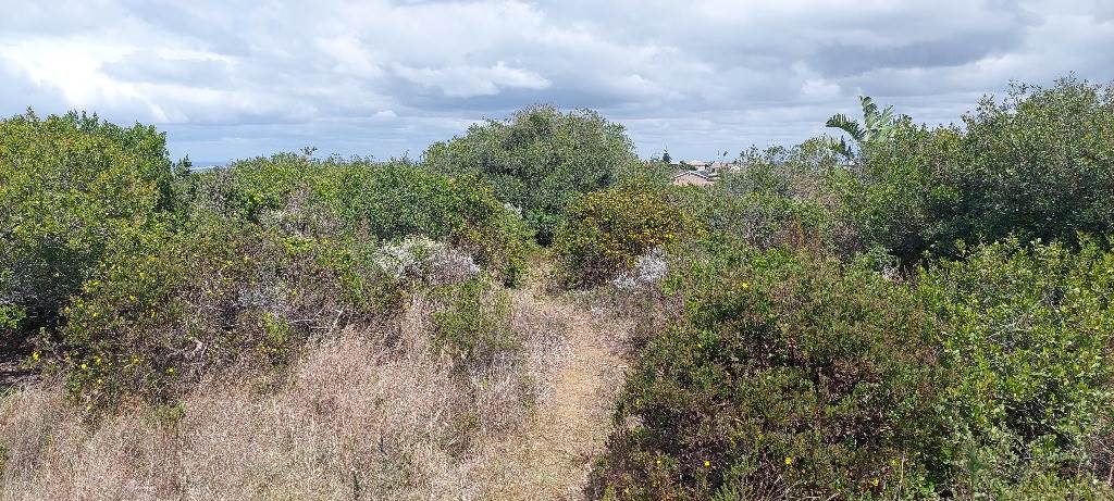1.1 ha Land available in Dana Bay photo number 4