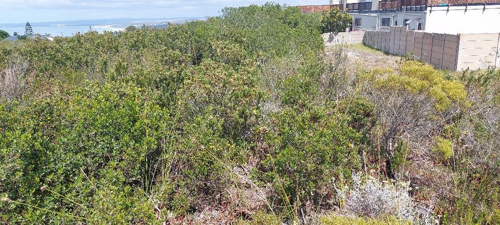 1.1 ha Land available in Dana Bay photo number 7