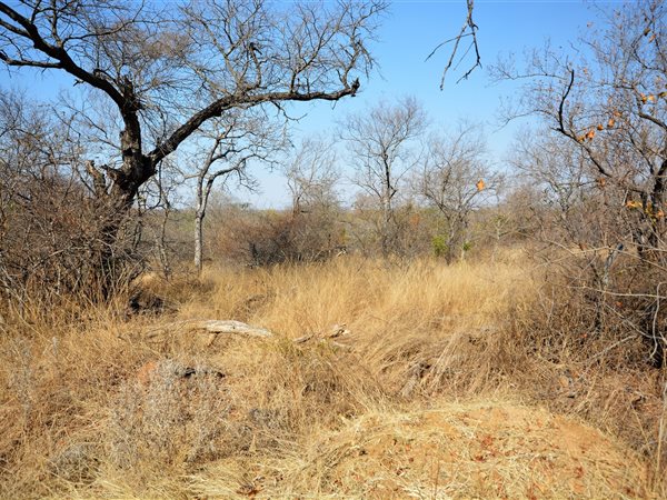 1 ha Land available in Moditlo Nature Reserve