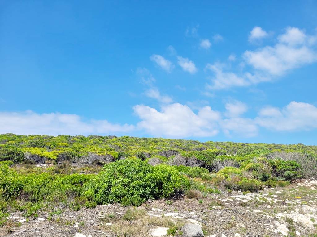 300 m² Land available in Agulhas photo number 8