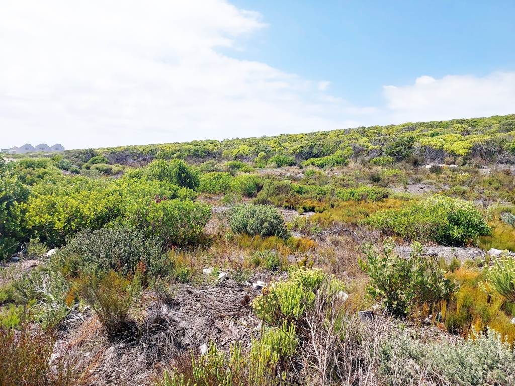 300 m² Land available in Agulhas photo number 3