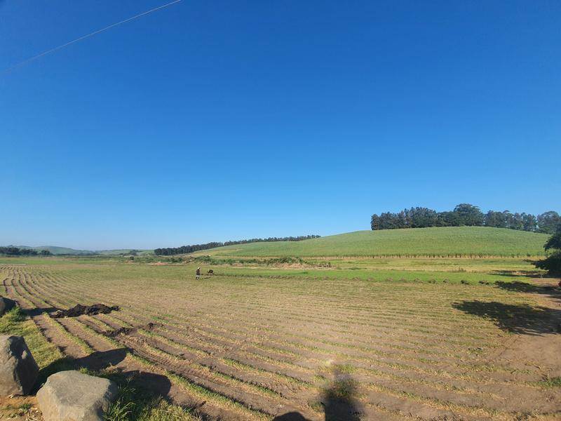 31 ha Land available in Umhlali photo number 2