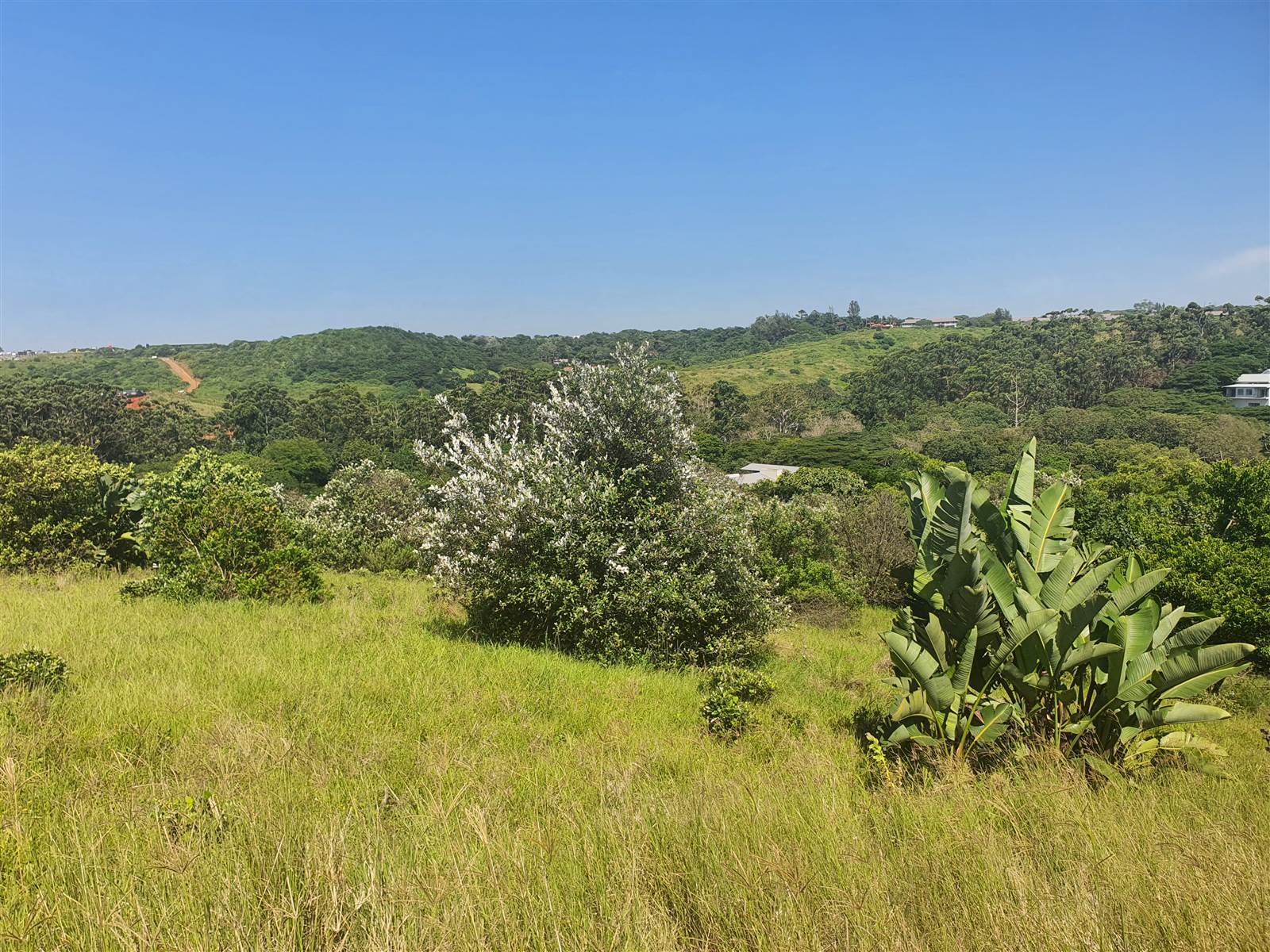 1617 m² Land available in Simbithi Estate photo number 3