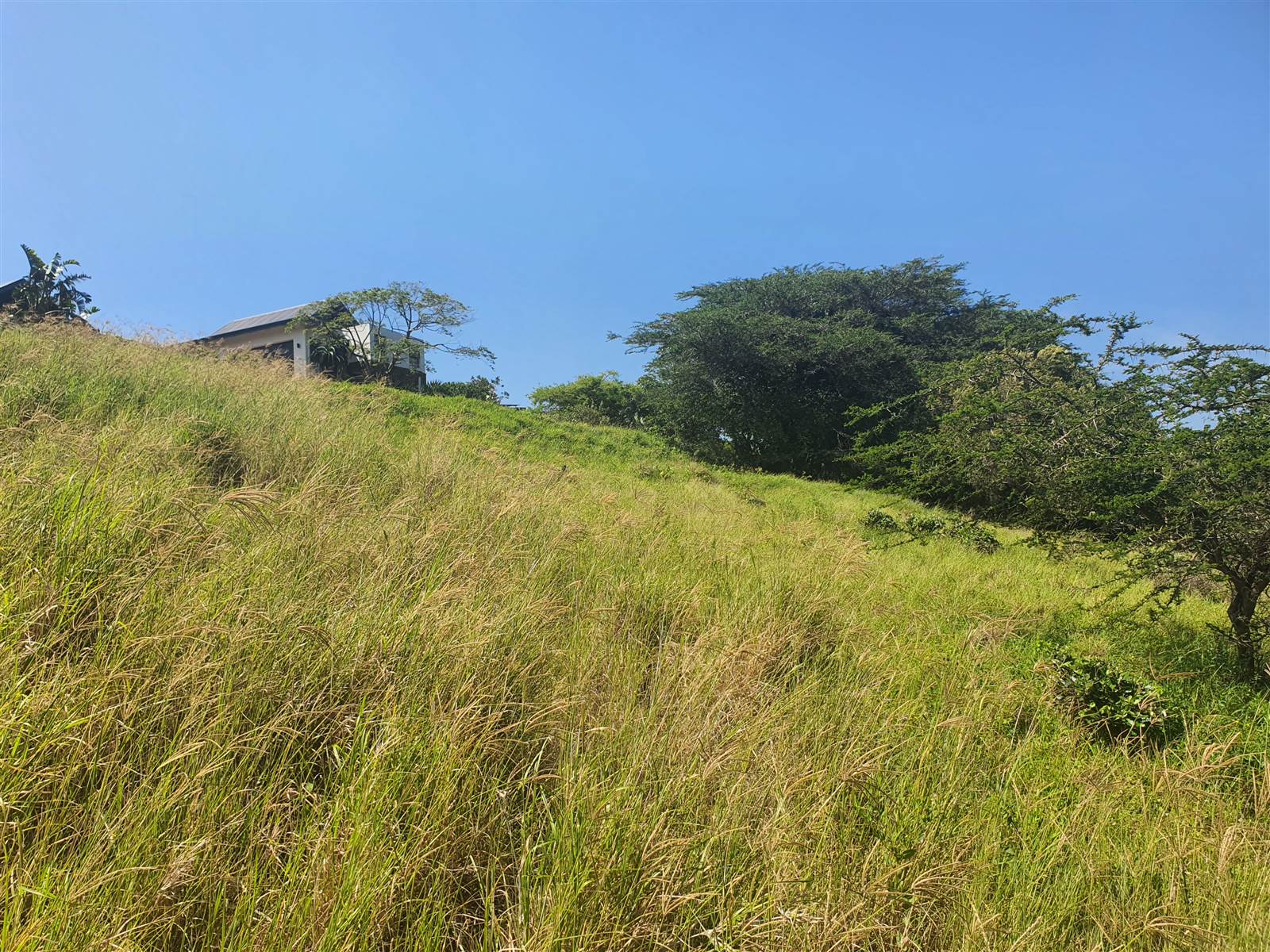 1617 m² Land available in Simbithi Estate photo number 4