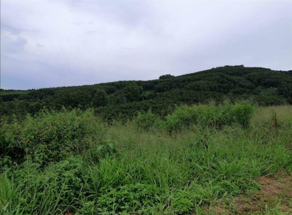 4.6 ha Land available in Chase Valley photo number 6
