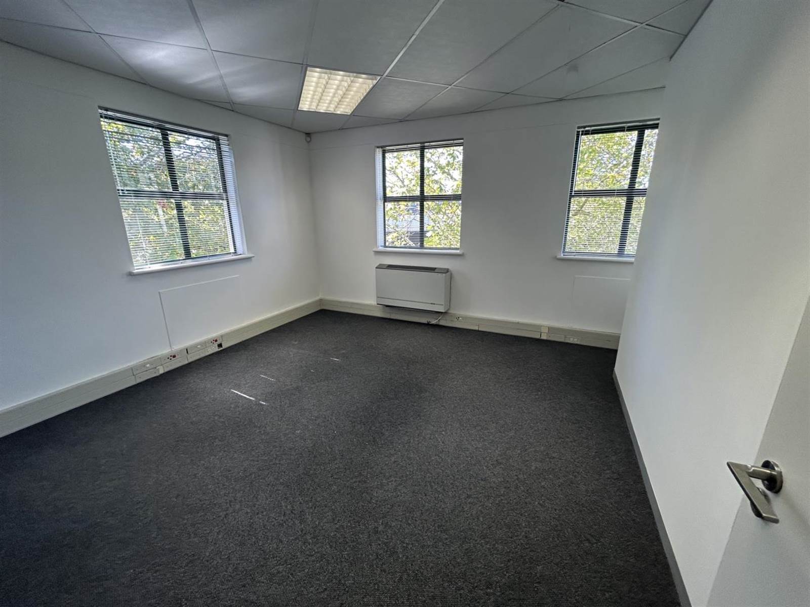330  m² Office Space in Kenilworth photo number 4