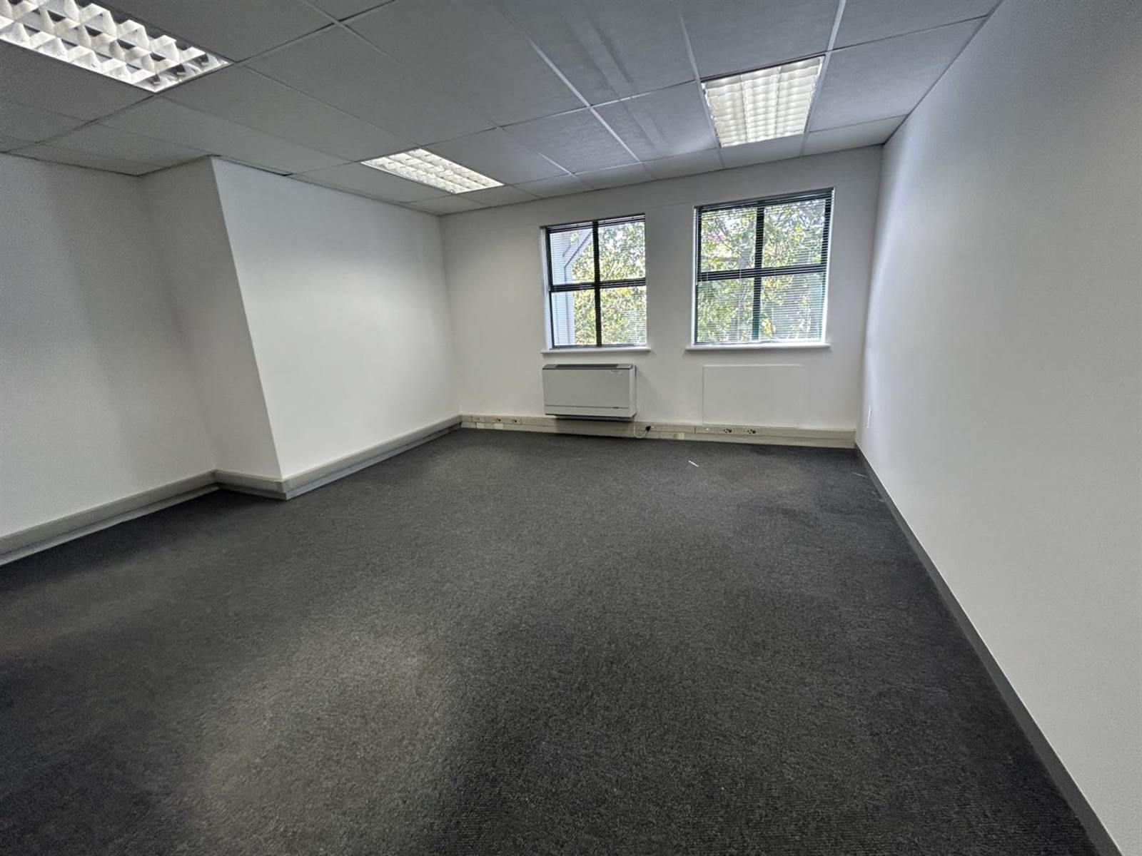 330  m² Office Space in Kenilworth photo number 11